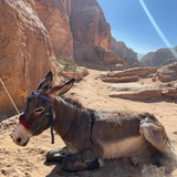 582533340 17850662301594390 2765428928048449208 n