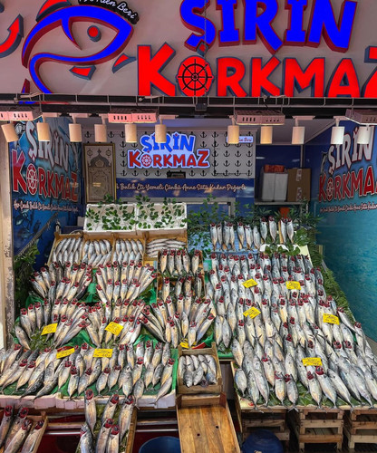 583015713 17850022569594390 1265297265722330258 n.jpg