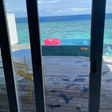 583028105 17850127371594390 7810354545113543733 n