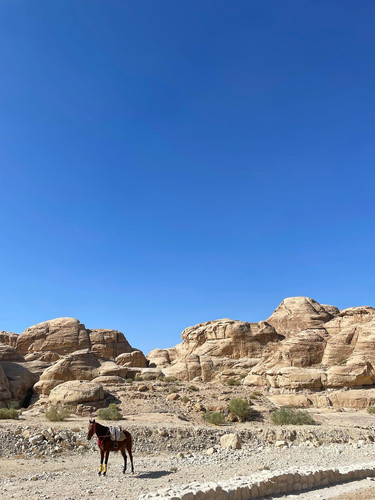 583383542 17850662256594390 6197892033153959045 n.jpg