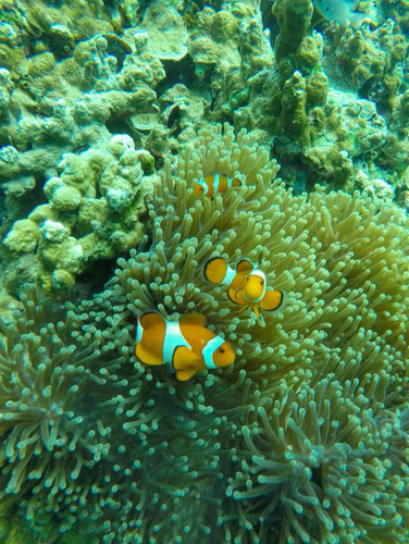 583036568 17850127500594390 1163095960652598148 n.jpg