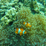 583036568 17850127500594390 1163095960652598148 n