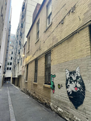 591151524 17852493897594390 1375040082413076188 n.jpg