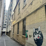 591151524 17852493897594390 1375040082413076188 n