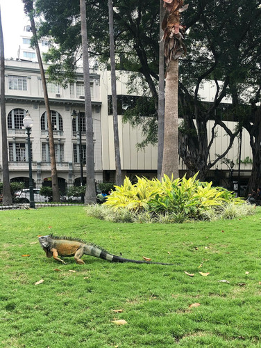 591169611 17852345892594390 9020914506571495821 n.jpg