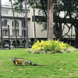 591169611 17852345892594390 9020914506571495821 n