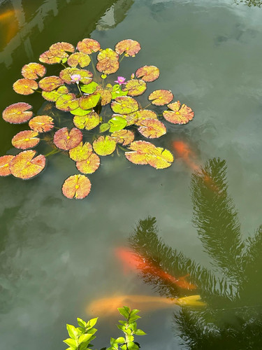 591164053 17851914027594390 7266914550095054181 n.jpg