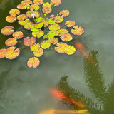 591164053 17851914027594390 7266914550095054181 n