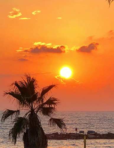 599120353 17854599618594390 3158806884307682861 n.jpg