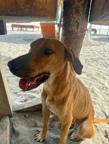 591611299 17854457682594390 581445348189976238 n.jpg