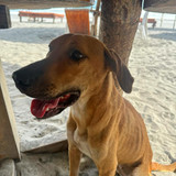 591611299 17854457682594390 581445348189976238 n