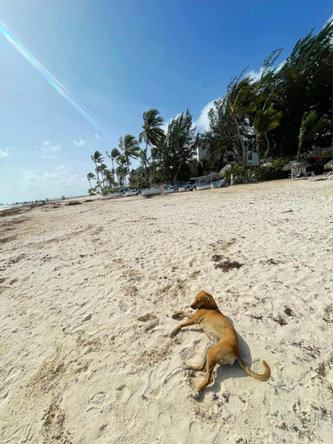 610885033 17857363617594390 1597347064232172075 n.jpg