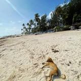 610885033 17857363617594390 1597347064232172075 n