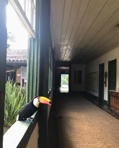 609536140 17856452712594390 1345891414255628948 n.jpg