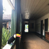 609536140 17856452712594390 1345891414255628948 n