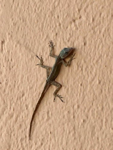 610894547 17857363734594390 1733230262262428053 n.jpg