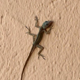 610894547 17857363734594390 1733230262262428053 n