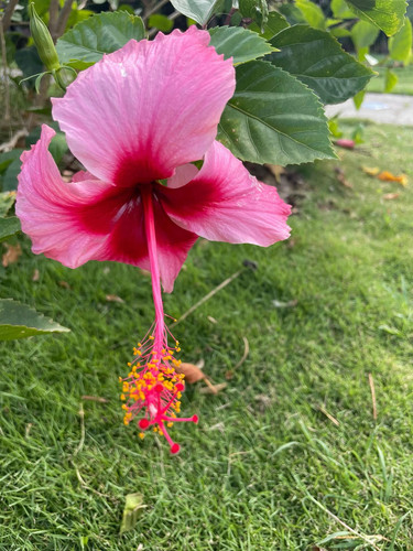 610278042 17856943158594390 7752606433652667831 n.jpg