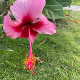 610278042 17856943158594390 7752606433652667831 n