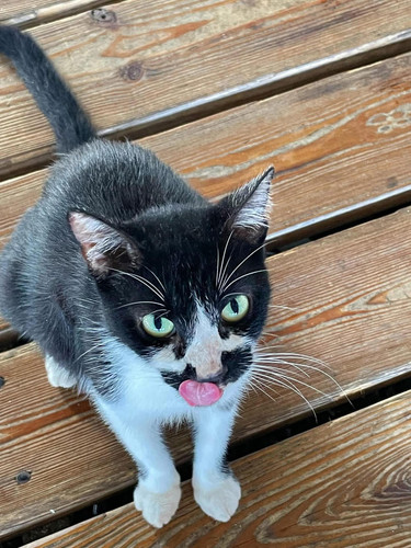 610532314 17856943140594390 7054079970708673255 n.jpg