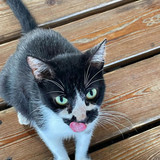 610532314 17856943140594390 7054079970708673255 n