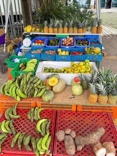 610880900 17857363743594390 8529834589211593652 n.jpg