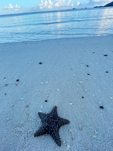 609864247 17856943230594390 2217796021292237793 n.jpg