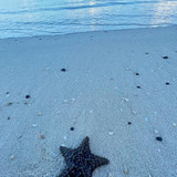 609864247 17856943230594390 2217796021292237793 n