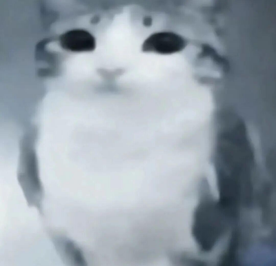 c648242d1525a91435f974f8b51c4812.png