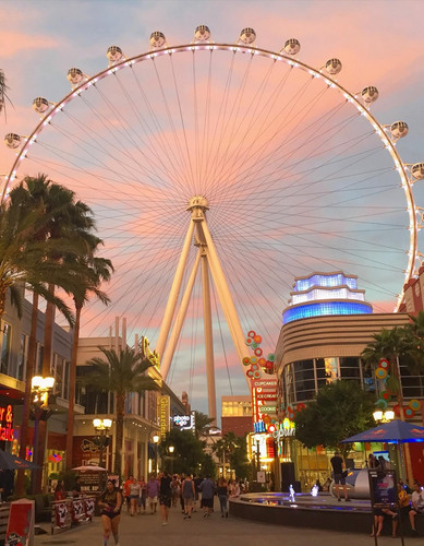 623408482 17860554342594390 8599803598571920794 n.jpg