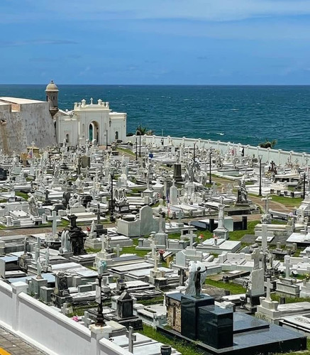 624096653 17860872495594390 7167809875679627914 n.jpg