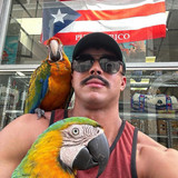 623413135 17860872465594390 1267497241618236582 n