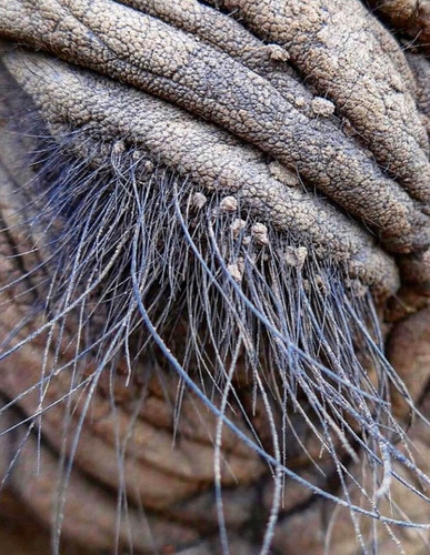 624197082 17861074503594390 4452042872871803421 n.jpg