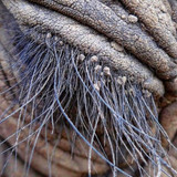 624197082 17861074503594390 4452042872871803421 n