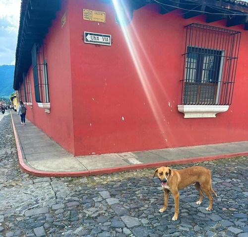 622453067 17860130643594390 2187161322622964639 n.jpg