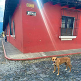 622453067 17860130643594390 2187161322622964639 n