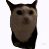 mmexport1772306426013.gif