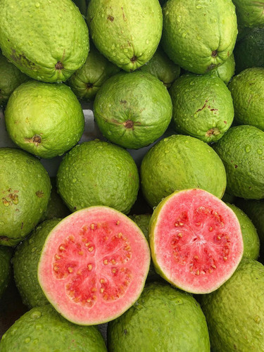 641150619 17865193695594390 3581486706872096740 n.jpg