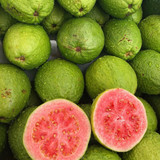 641150619 17865193695594390 3581486706872096740 n