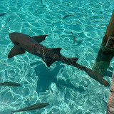 640406153 17865193779594390 1542140738900245671 n