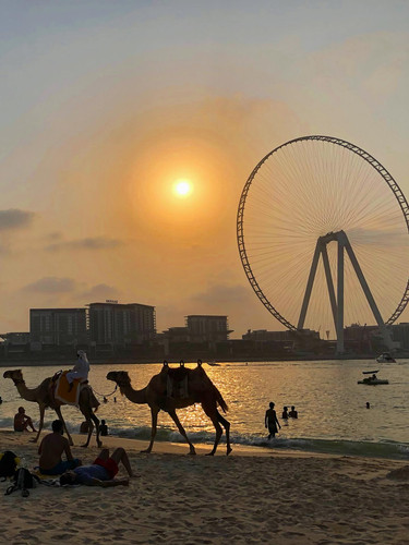 642487097 17866038228594390 5311263318767314091 n.jpg