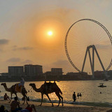 642487097 17866038228594390 5311263318767314091 n