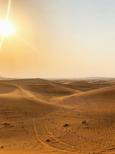 642354265 17866038279594390 8436262772902932813 n.jpg