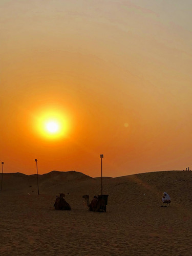 642516879 17866038306594390 8150264568612975623 n.jpg