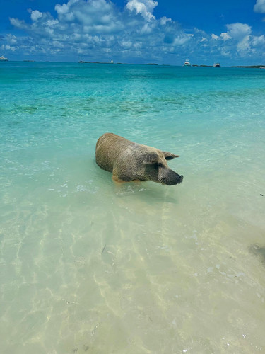 642134556 17865193785594390 8552364278508121486 n.jpg