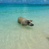 642134556 17865193785594390 8552364278508121486 n