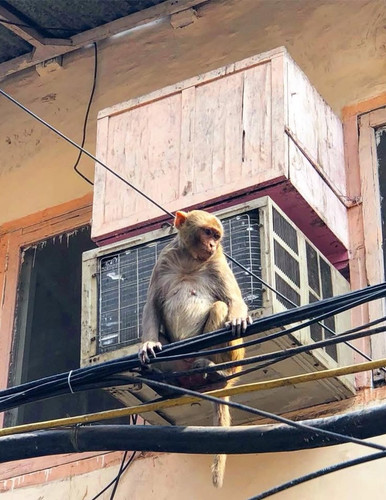 625110727 17861074527594390 2882504032544553552 n.jpg