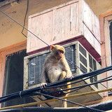 625110727 17861074527594390 2882504032544553552 n