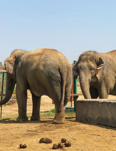 624849741 17861074512594390 7619012873323942099 n.jpg