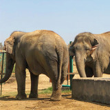 624849741 17861074512594390 7619012873323942099 n